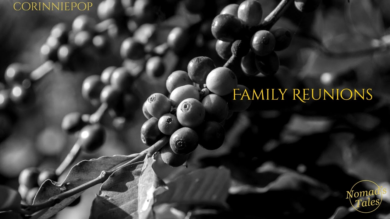 Family Reunion[M4A][Feat. CorinniePop][Elf RP][Treyvalion][Frosthaven][A Sisters Visit]