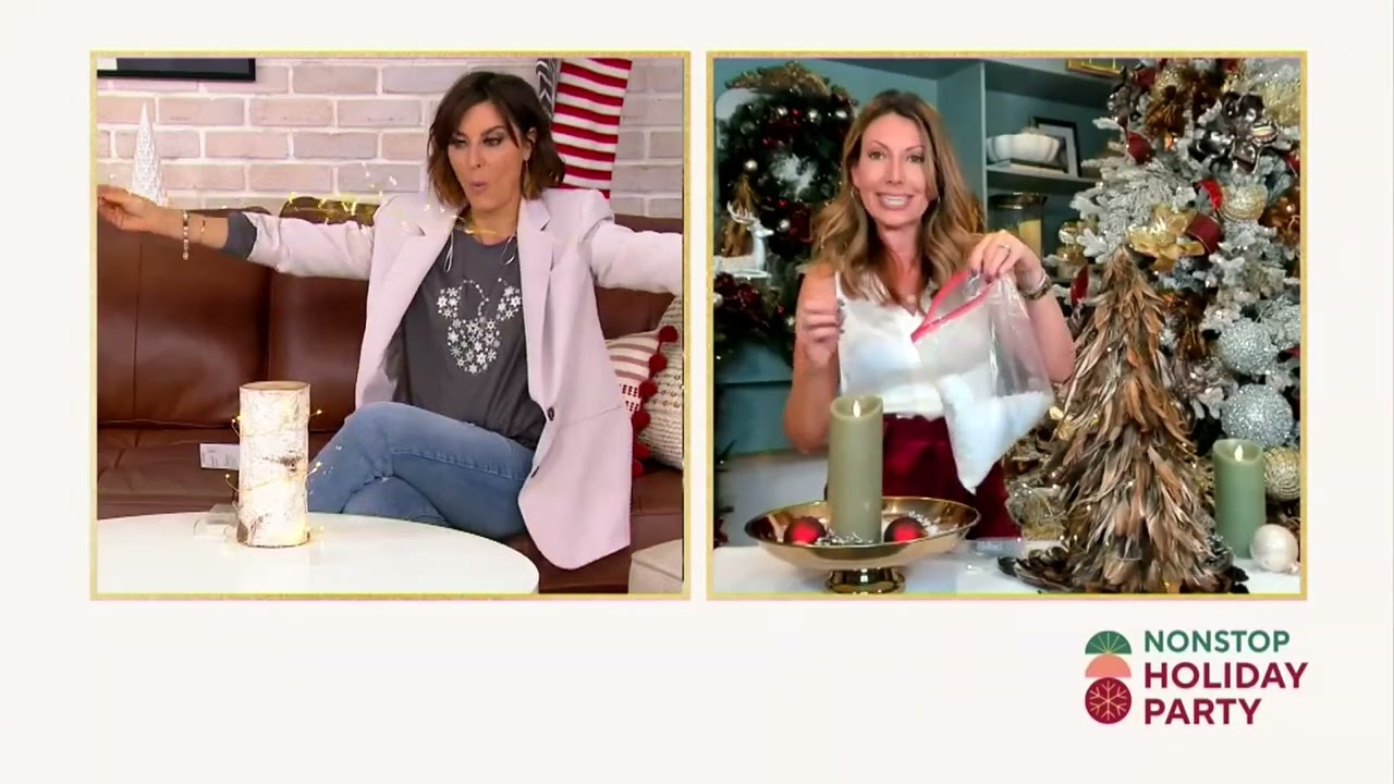 Simply Stunning Set of 2 4' Mini Branch Lights by Janine Graff on QVC