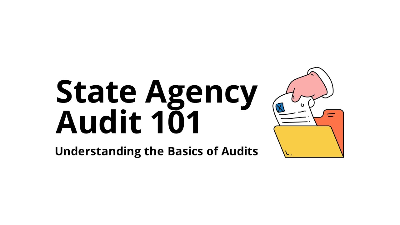 What Is an Audit by a State Agency (Basics)?