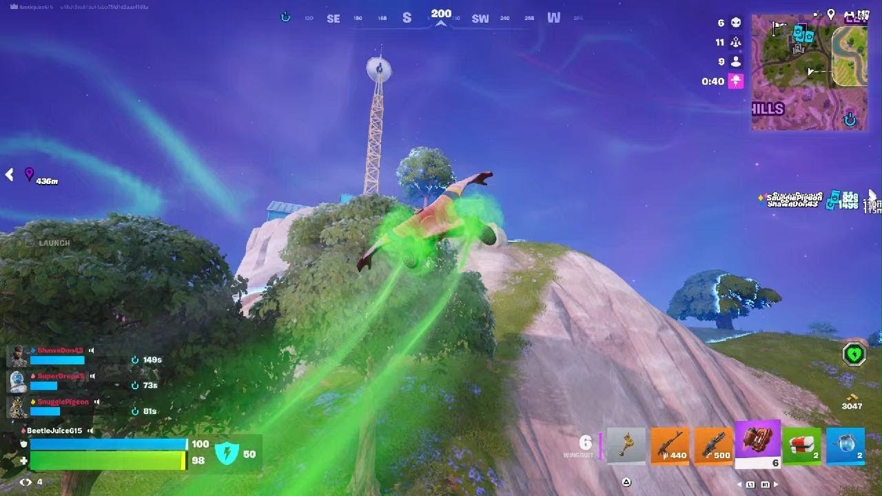 Squad Solo Victory