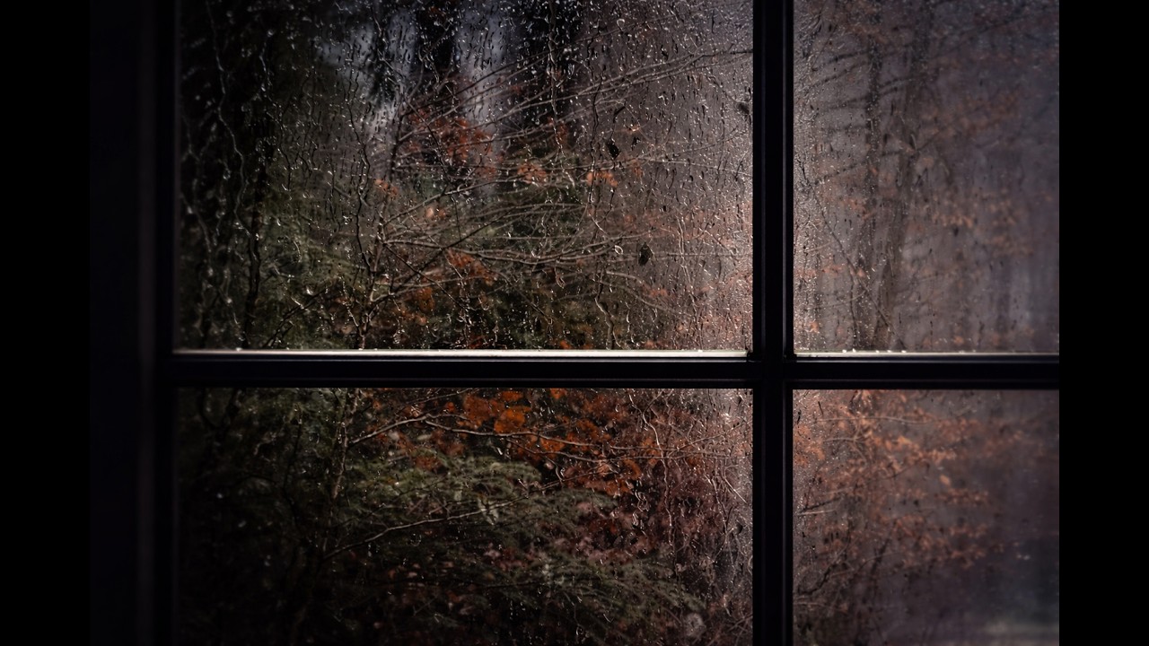 8 Hours of Gentle Rain | Dark Window Ambience for Sleep & Deep Rest