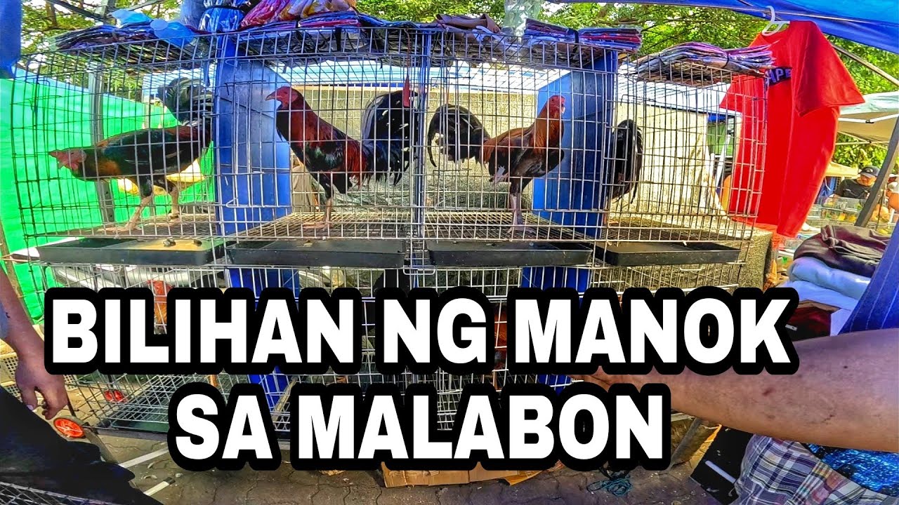 EKSENA SA MALABON OCTOBER 18, 2025 | PET TIANGGE