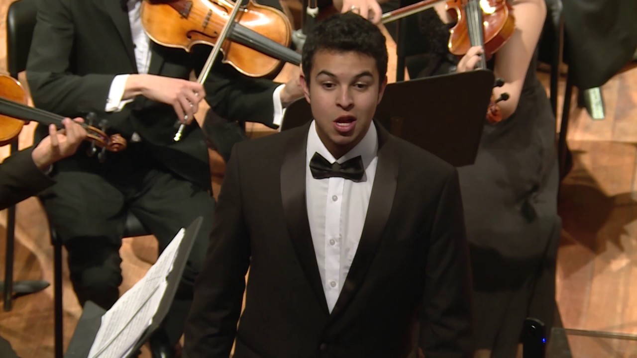 3  Mozart, Non piu andrai farfallone amoroso