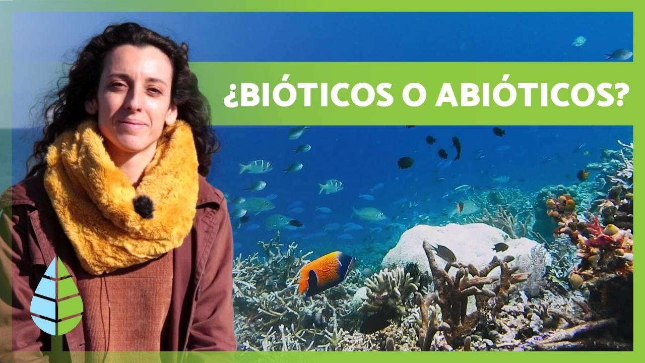 &iquest;Qu&eacute; son los factores BI&Oacute;TICOS y ABI&Oacute;TICOS? 🐬🌊