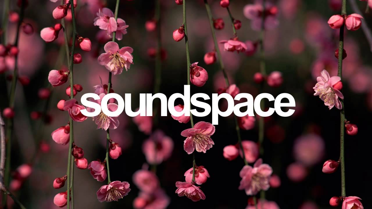 Resotone Ft. Aneym - When I'm Gone