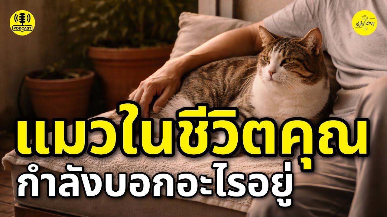 แมวในชีวิตคุณ กำลังบอกอะไรอยู่ | บทเรียนธรรมะจากเพื่อนสี่ขา | เข้าใจง่ายๆ
