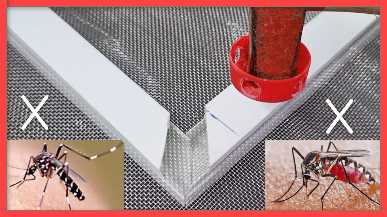 Mẹo vặt DIY bí mật mà hầu như không ai biết — Chất lượng hoàn hảo chỉ với 1 xu!