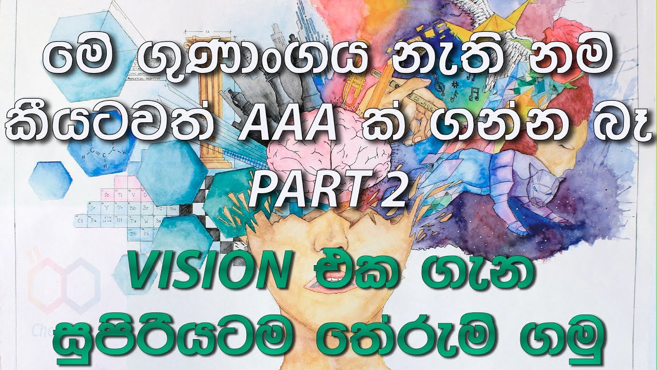 VISION එක හරියටම තේරුම් ගමු