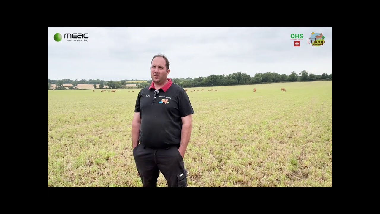 Témoignage mélanges suisses OH - Ferme de Chiloup (79)