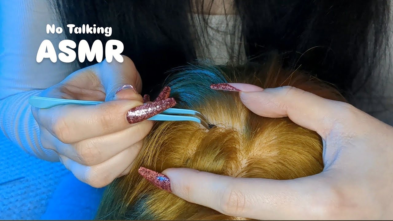 ASMR Scalp Check for Deep Sleep with Rain Ambient 😴