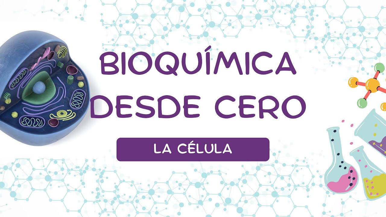 INTRODUCCI&Oacute;N A LA BIOQU&Iacute;MICA (Niveles de organizaci&oacute;n, la c&eacute;lula y sus organelos)
