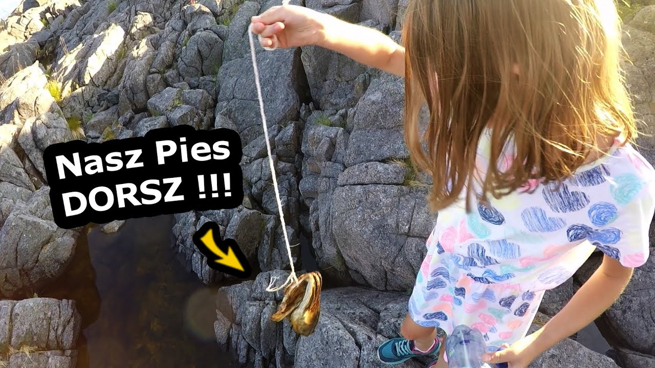 Mamy Psa Dorsza !!! - Wchodzimy na Reinebringen w NORWEGII !!! - Patent z wtyczką od Lodówki Dometic