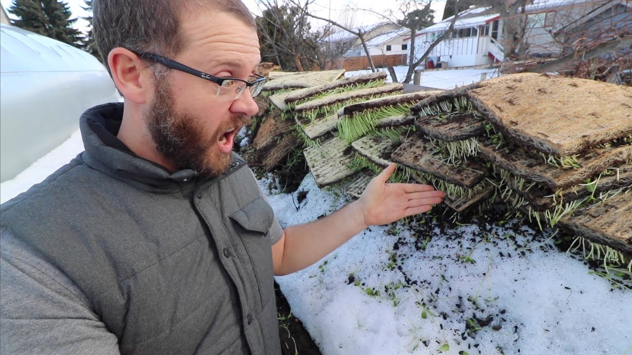 COMPOST IN CRISIS!! + Day 2 Solar Install