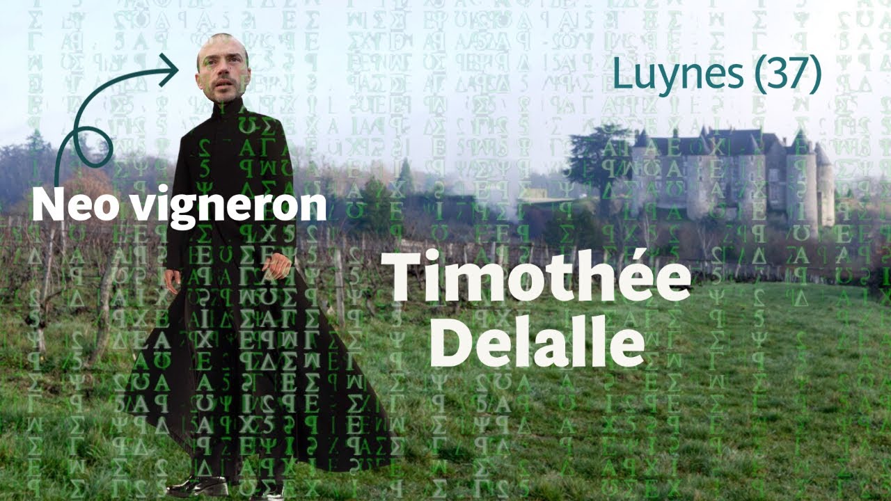 Le Neo vigneron de Luynes (rencontre avec Timothée Délalle)