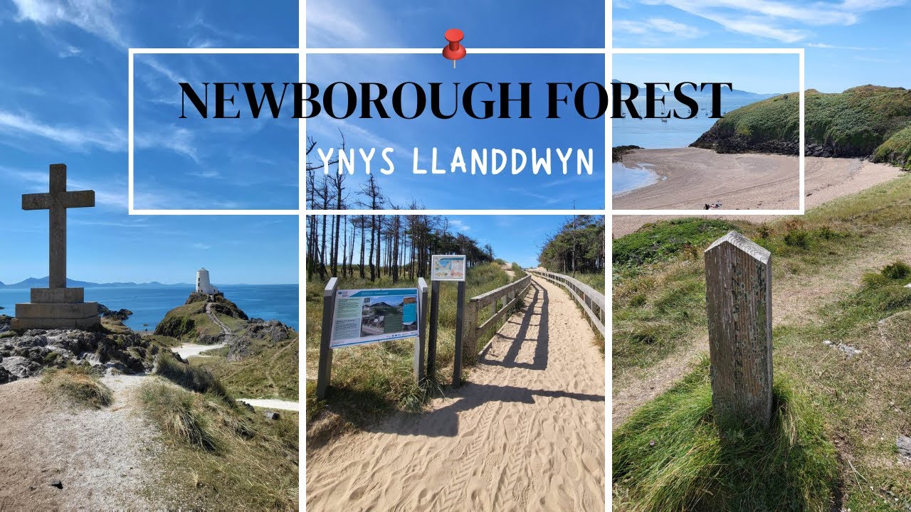 Jedziemy do NEWBOROUGH FOREST i wybieram się na wyspę Ynys Llanddwyn