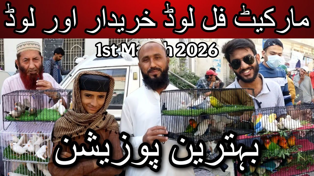 Lalukhet  birds market part 1 1 March 2026 | Cheapest price birds market in Karachi Pakistan
