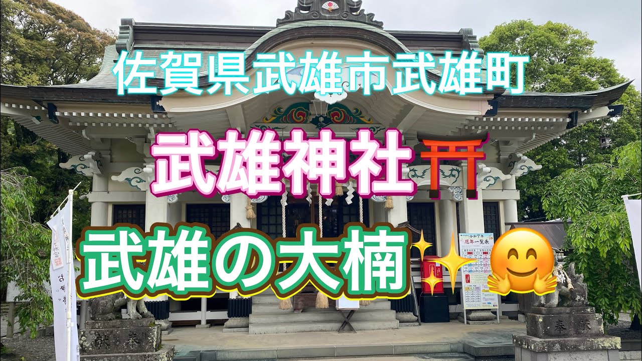 【九州drive】佐賀県武雄市武雄町大字武雄5327『武雄神社と⛩️武雄の大楠✨🤗』