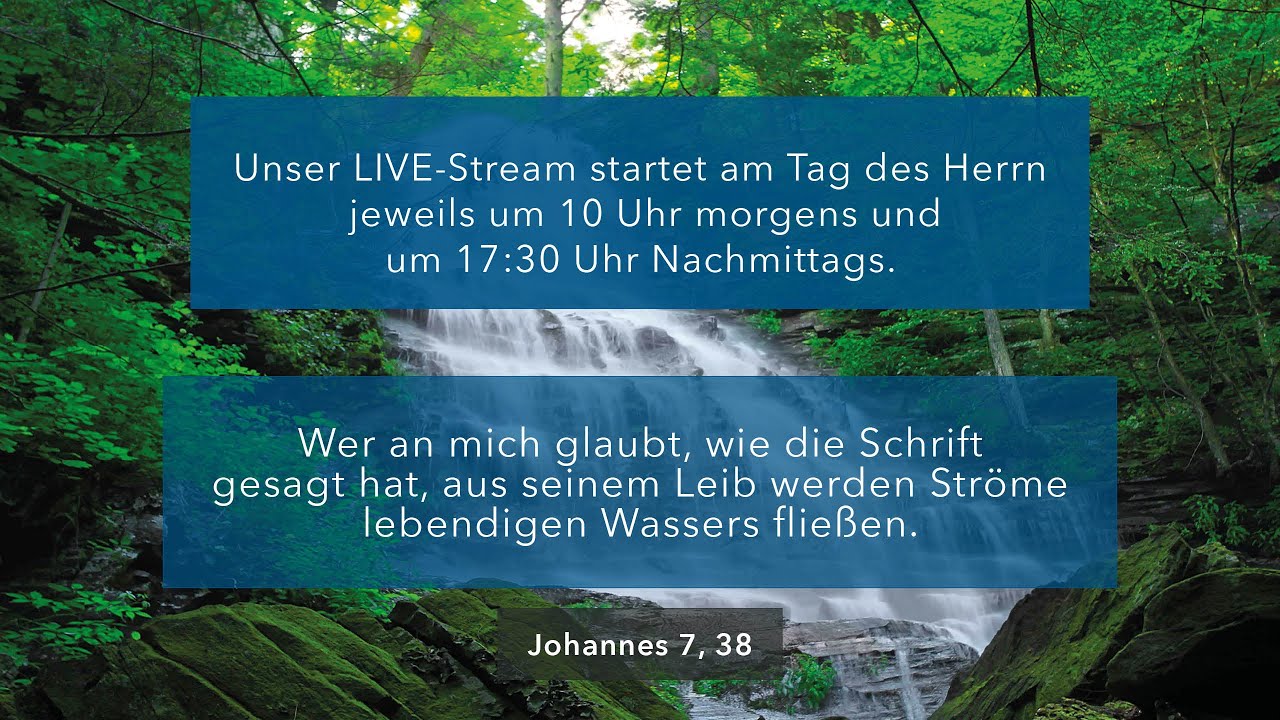 Dr. Johan van Wyk - Der Lamm-Br&auml;tigam g&uuml;rtete Petrus und Johannes zum Leiden...