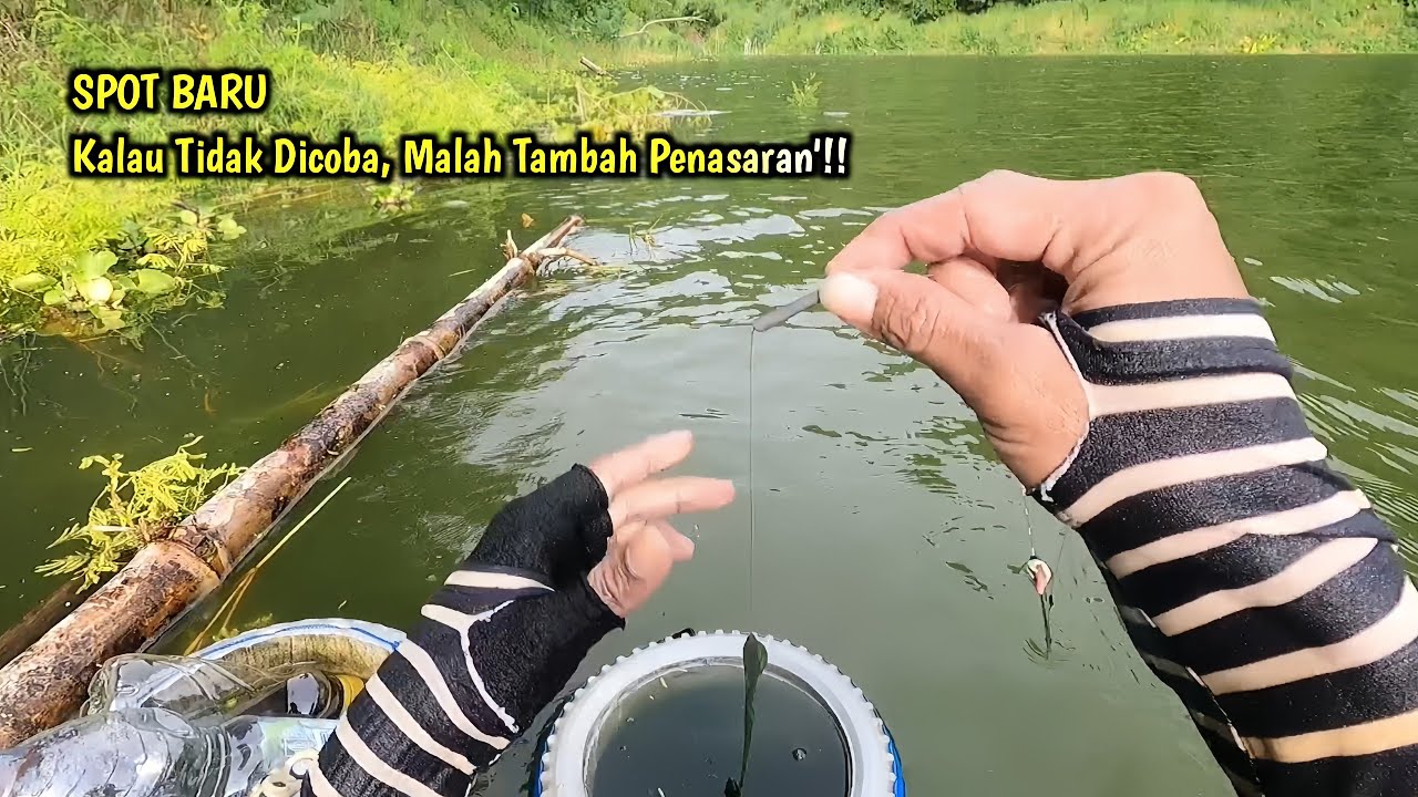 SPOT INI SERING DISEPELEKAN‼️SAYAPUN PENASARAN MENCOBANYA‼️MANCING IKAN NILA - MANCING MANIA