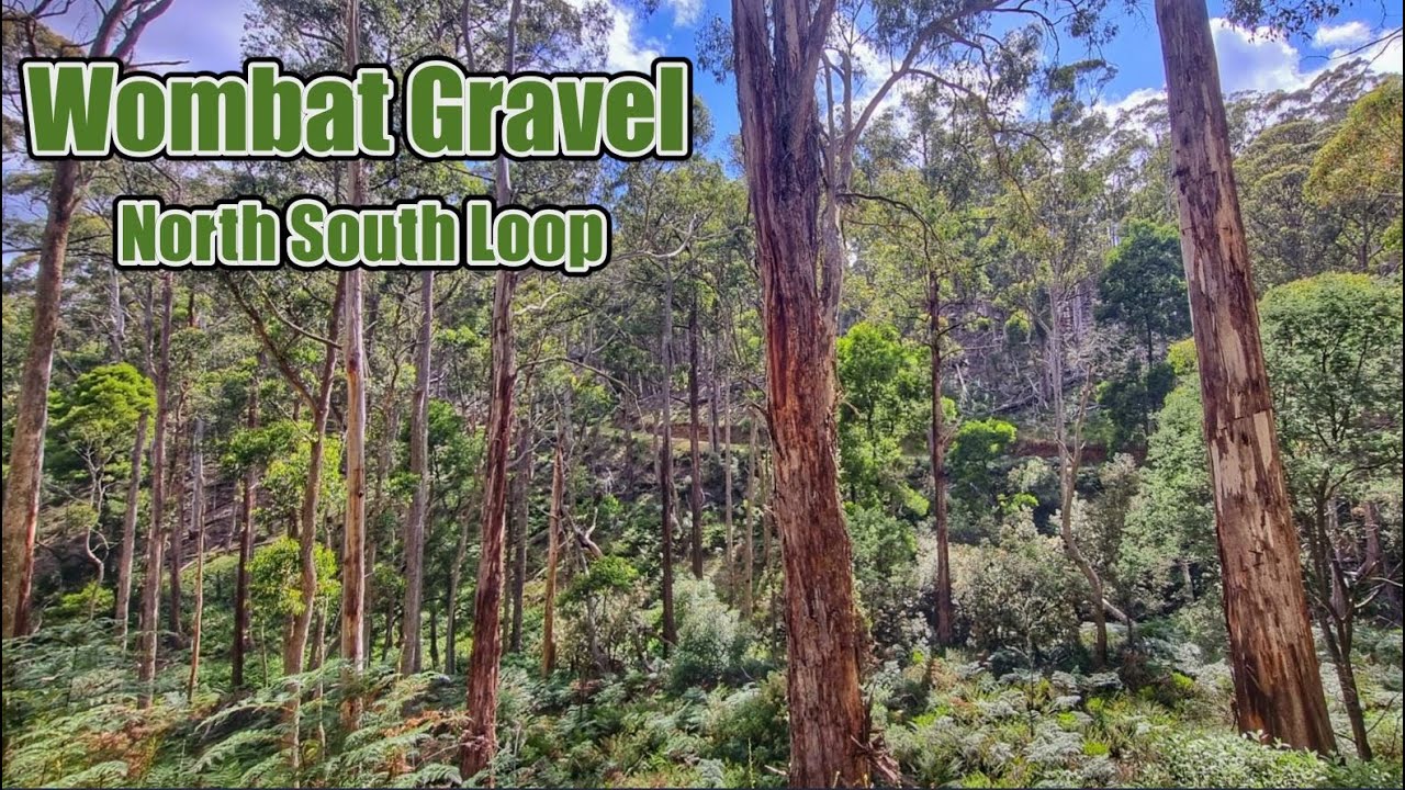 Wombat Gravel North South Loop