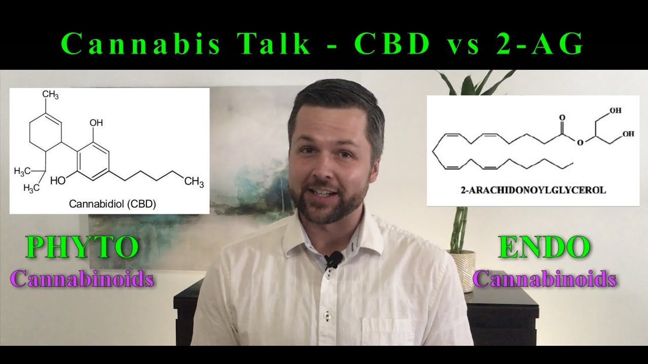 Cannabis Talk - Cannabidiol (CBD) and 2-Arachidonoylglycerol (2-AG)