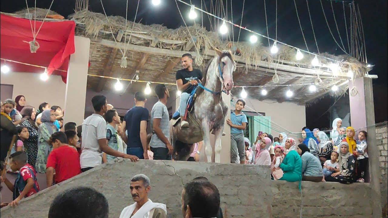 كرثه هروب حصان اثناء الفرح ويدخل بيت العروسه ثم ...