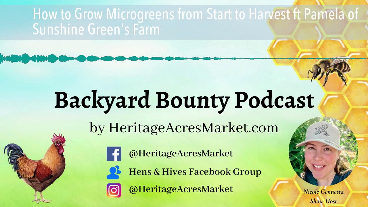 How to Grow Microgreens For Profit from Start to Harvest | Growing Microgreen Business Income Money