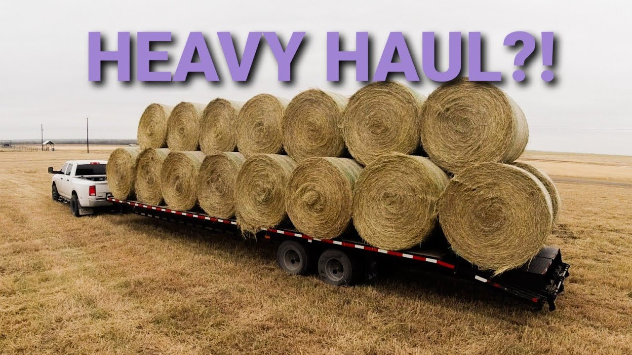 These Hay Bale Weights Surprised Me! - What a 4x5 Bale Really Weighs