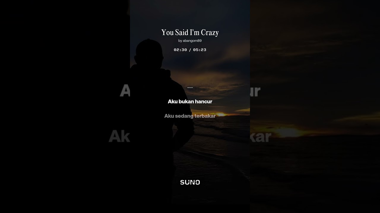 You Said I'm Crazy