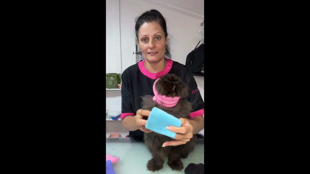 Happy Hoodie Hack | Help keep your cat calm.
