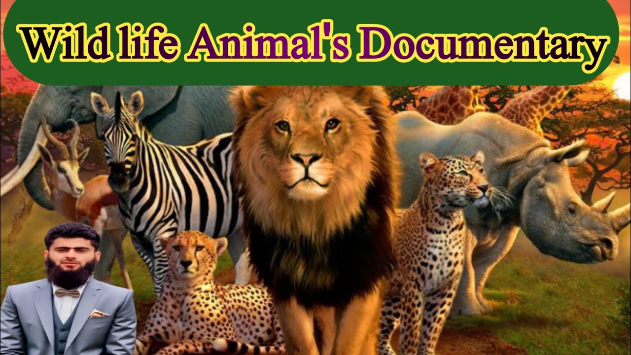 | Wild Animals | Fishes | Amphibians | Parrotes | Penguins | Fowl | Wild life Documentary | 