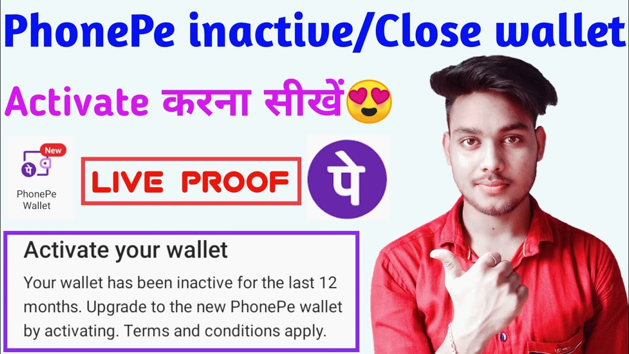 How to Reactivate Your Inactive PhonePe Wallet | PhonePe Wallet Not Working | TekHackerJi