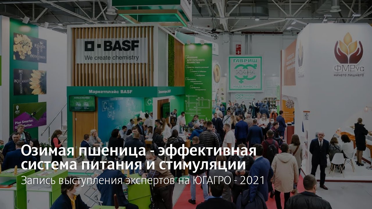 Озимая пшеница - эффективная система питания и стимуляции