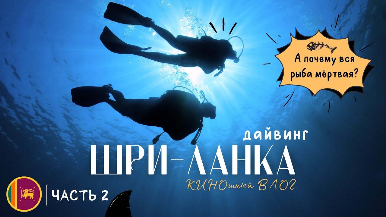 #Шри-Ланка 2 | Мы не ожидали увидеть такое под водой! Подводные приключения и сюрпризы в Тринкомали