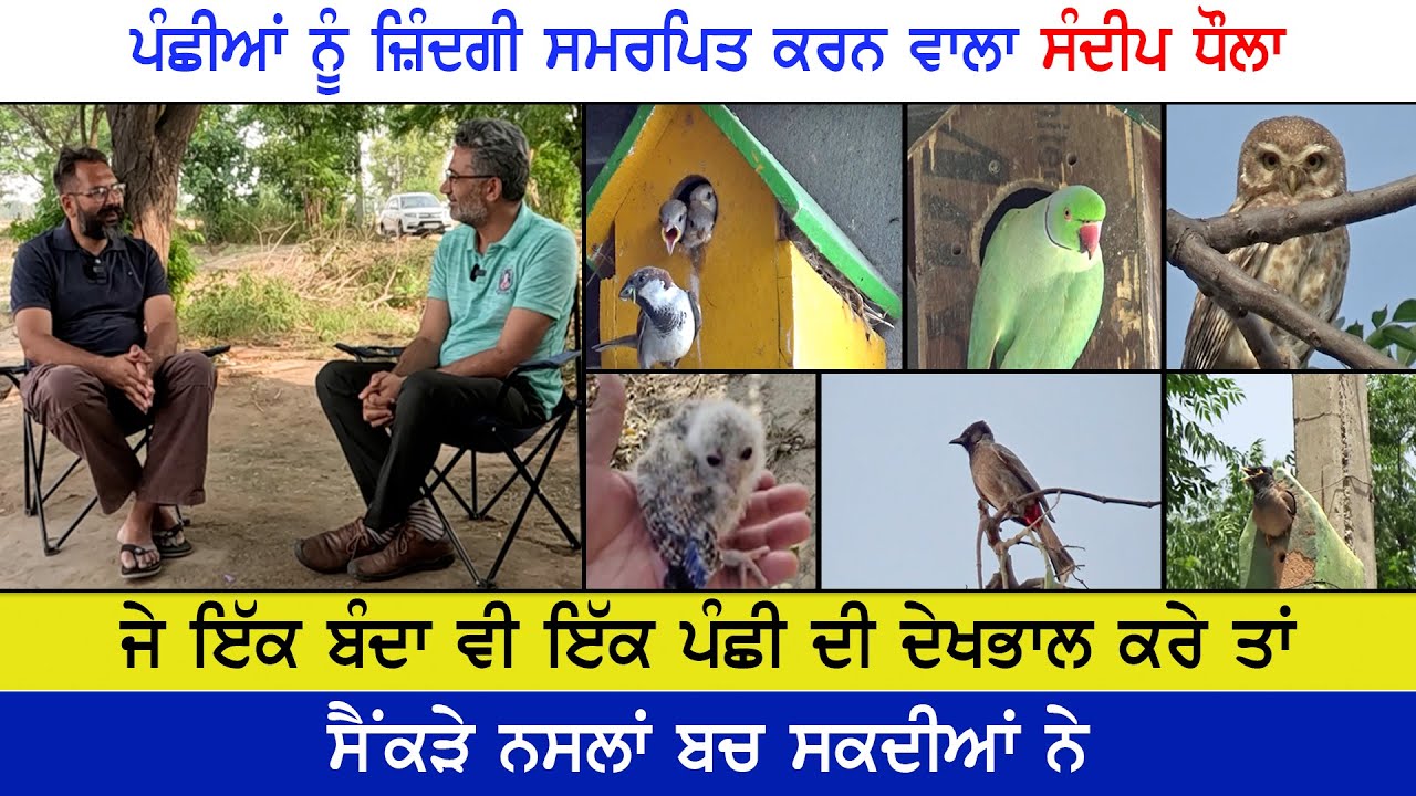 ਕੀ ਮਨੁੱਖ ਦੇ ਲਾਏ ਆਲਣੇ ਪੰਛੀਆਂ ਨੂੰ ਆਲਸੀ ਬਣਾਉਂਦੇ ਨੇ ?