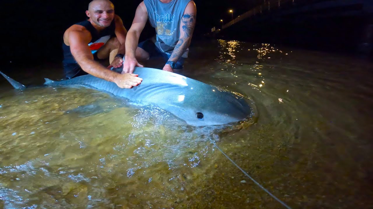 BIGGEST FISH CAUGHT ON PALM COVE JETTY?
