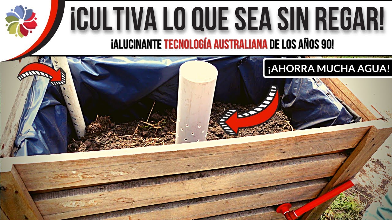 💧 MACETÓN que SE RIEGA SOLO - ¿¡POR QUÉ NO LO CONOCÍ ANTES!? 🤦‍♂️ - AHORRA más de un 50% de AGUA