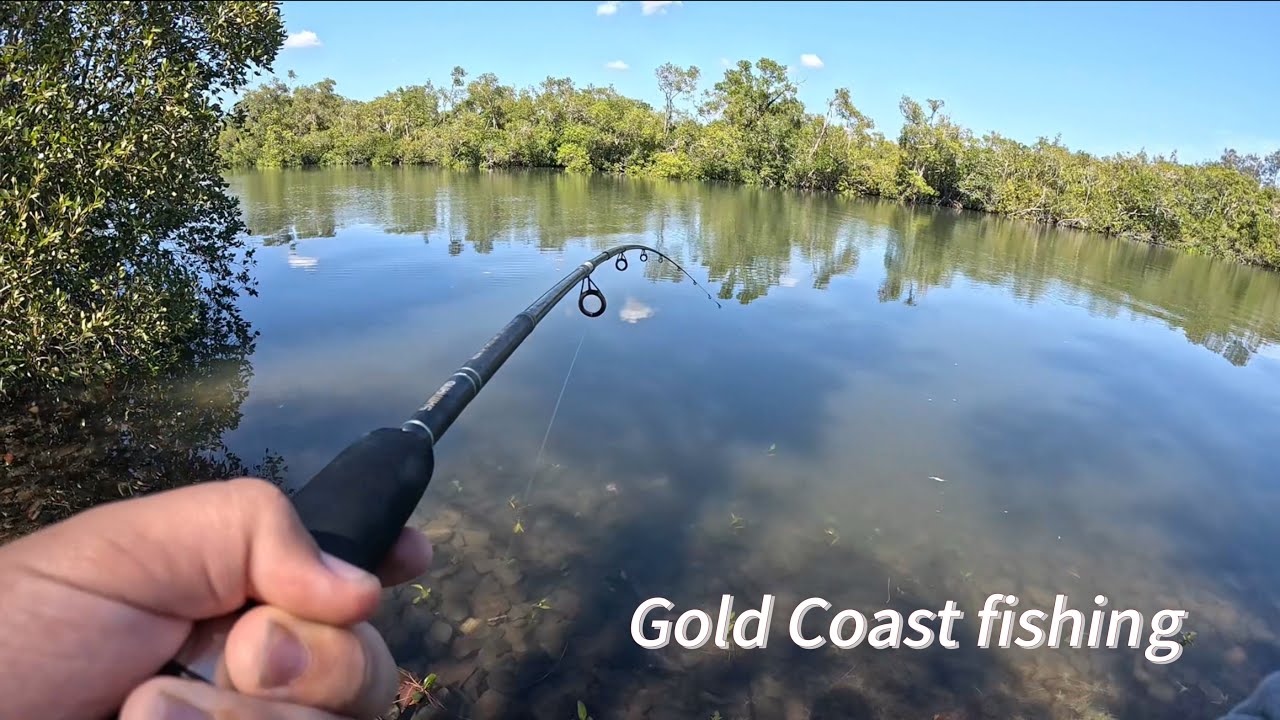 Big grunter Gold Coast fishing 