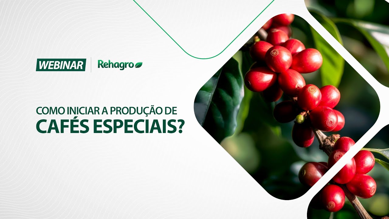 COMO INICIAR A PRODUÇÃO DE CAFÉS ESPECIAIS? | Webinar Café