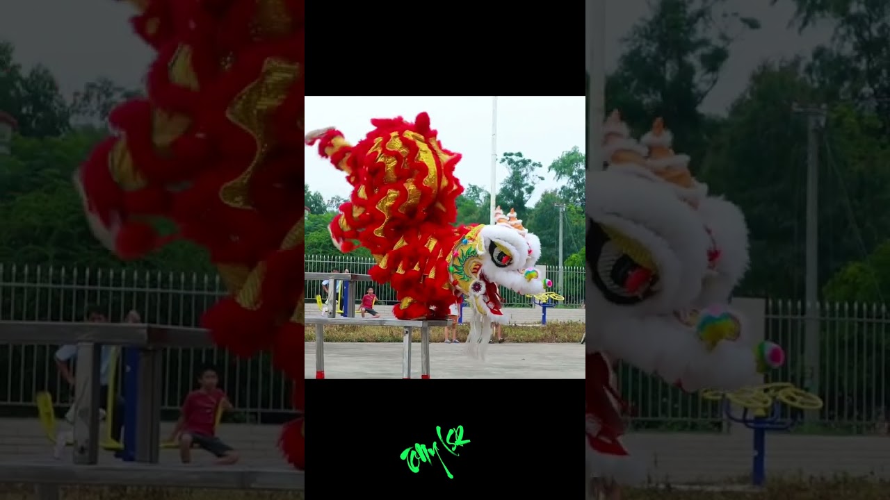 M&uacute;a l&acirc;n Đầu Rồng Lộn Santo Cực Đỉnh / Lion Dance #Shorts