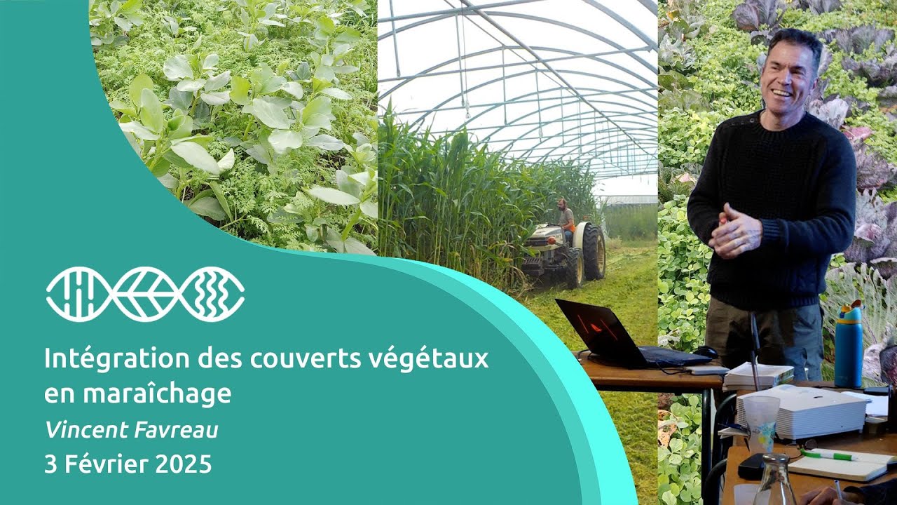 Int&eacute;gration des couverts v&eacute;g&eacute;taux en mara&icirc;chage - Vincent Favreau - 3 F&eacute;vrier 2025