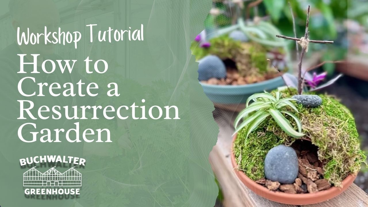 Resurrection Garden - How To