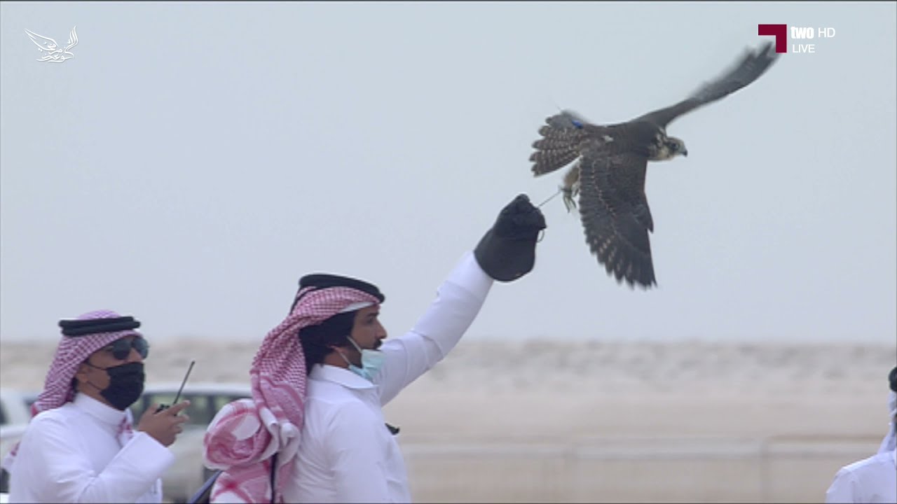الفائز والمتأهل الثاني في بطولة هدد التحدي - مهرجان مرمي ٢٠٢٢