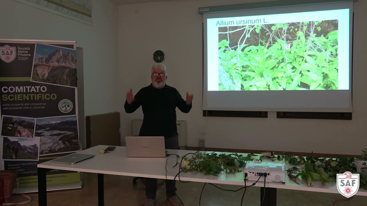 Corso sorprendenti piante del FVG - Lezione 4