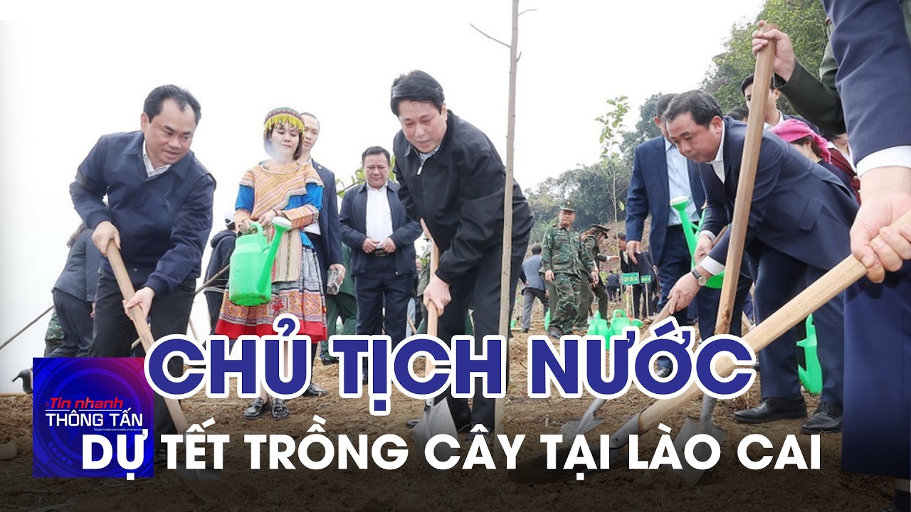 Chủ tịch nước dự Lễ phát động Tết trồng cây tại Lào Cai | Tin nhanh Thông tấn