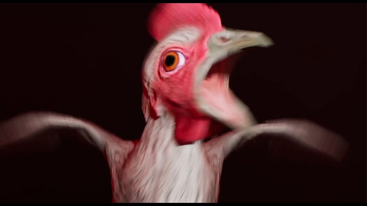 THE CHICKEN BEBEK