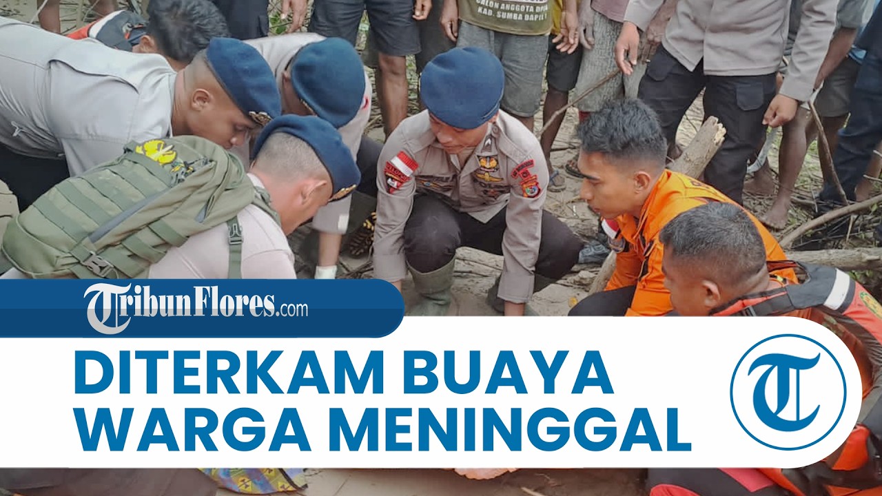 Diduga Diterkam Buaya, Warga Sumba Timur Ditemukan Meninggal di Muara Mondu