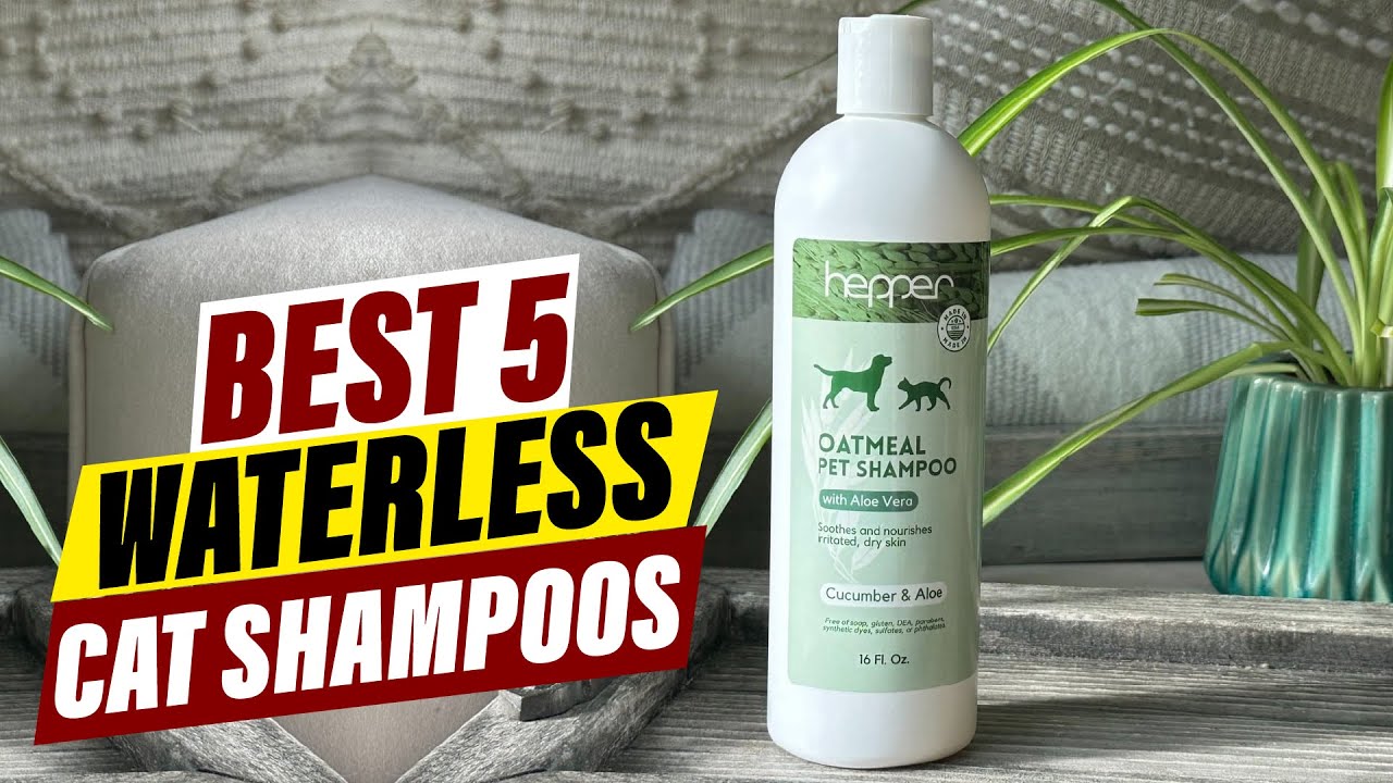 The Best Waterless Cat Shampoos for Healthy, Happy Cats