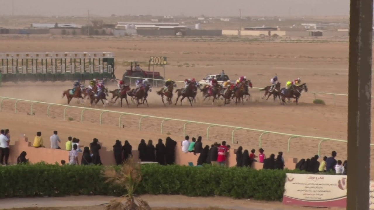 ميدان الفروسية بالاحساء لعام1440ه حفل (26)شوط الرابع المركز الأول (يروز)