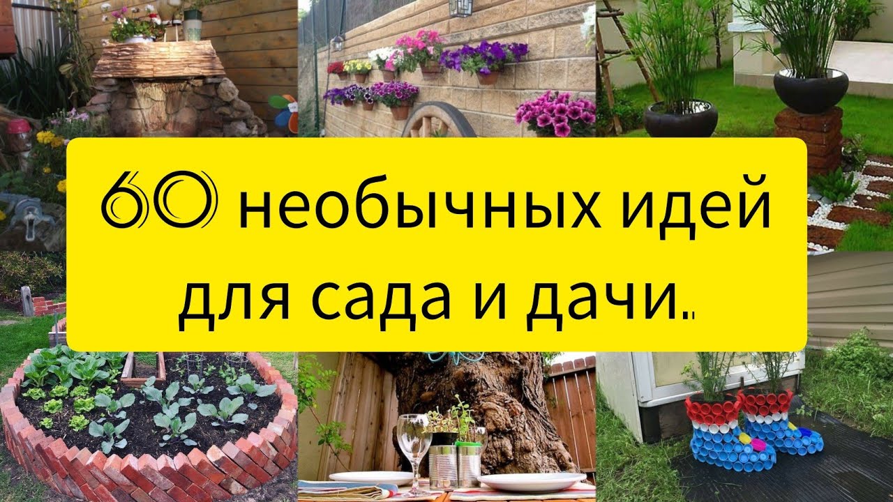 60 необычных идей для дачи, дома и сада своими руками.//DIY//60 unusual garden ideas.